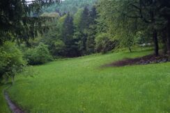 Terreno agricolo in vendita nel comune di Vignola-Falesina